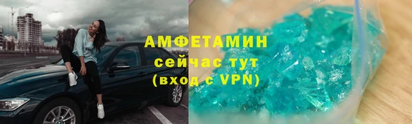 индика Покачи